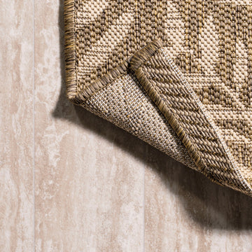 Nevis Palm Frond Indoor/outdoor Area Rug